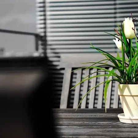 Apartament Da Lapa Porto